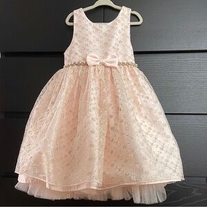 Beautiful Pink and Gold Dress